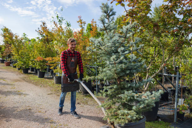 Lawn Watering Services in Torrington, CT